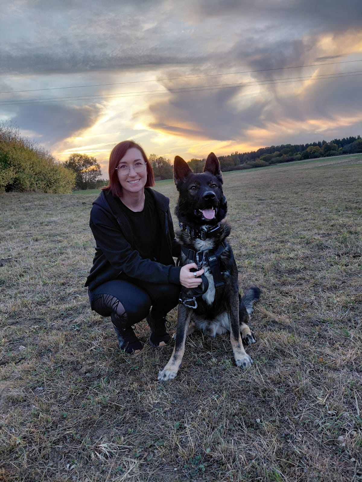 Angi